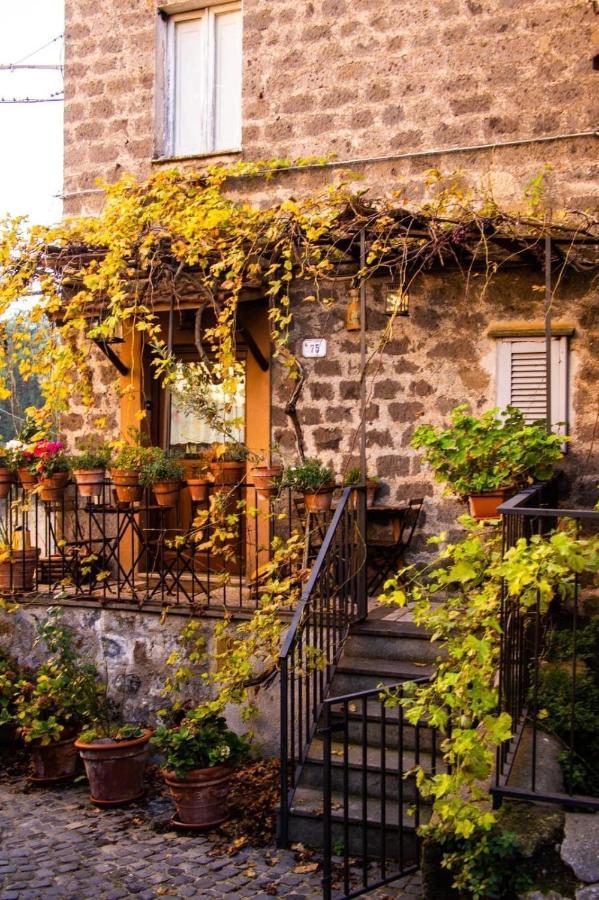Renaissance Boutique House Villa Ronciglione Kültér fotó